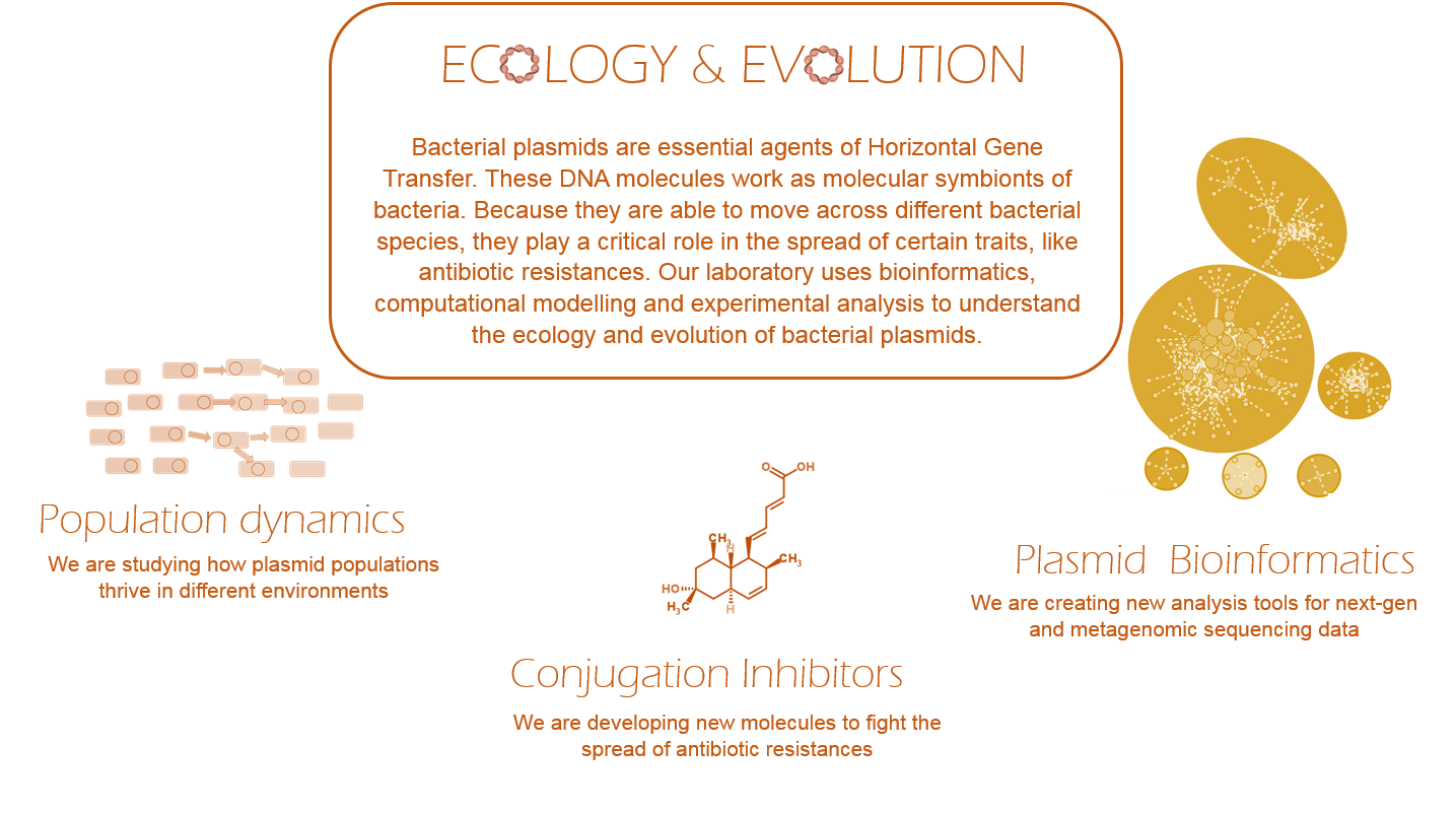 Ecology and evolution